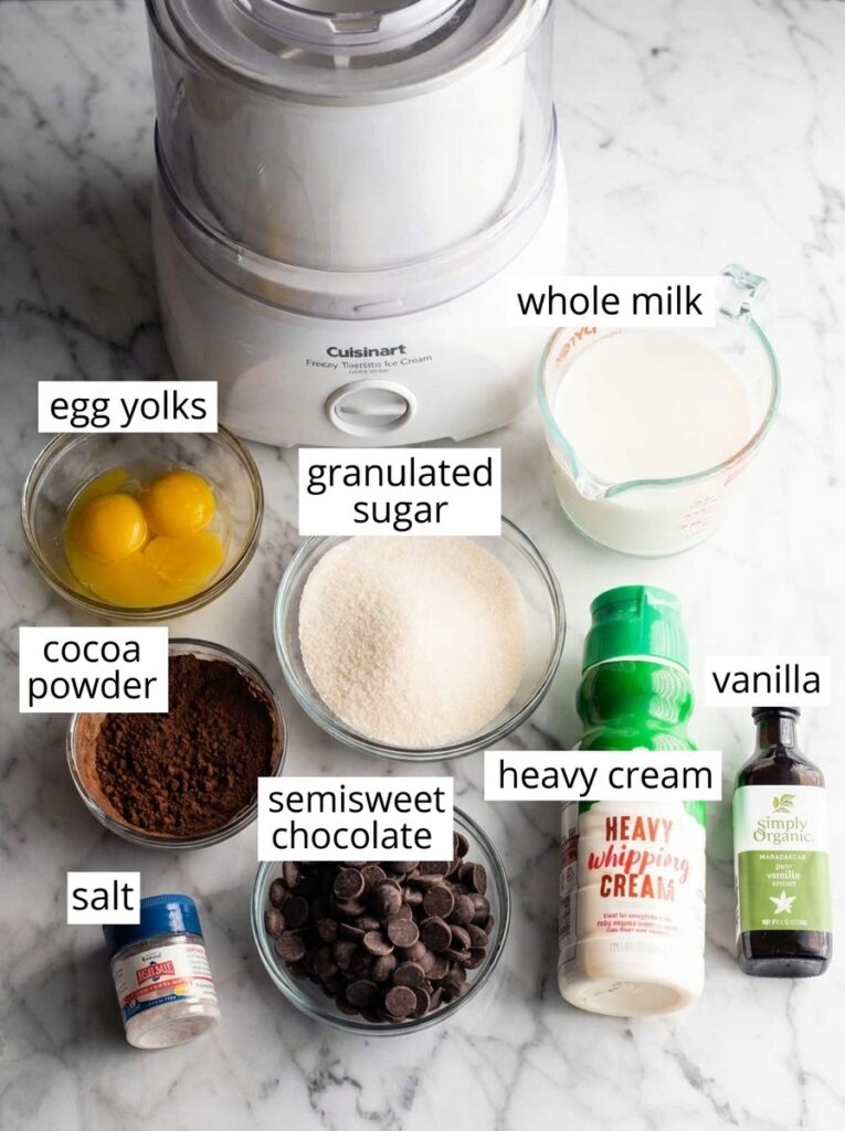 The Best Homemade Chocolate Ice Cream
